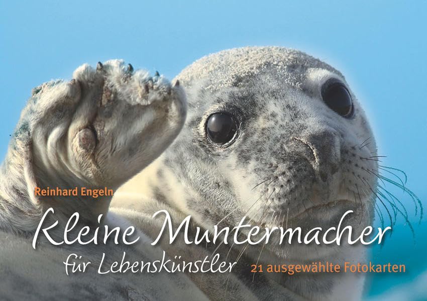 Kleine Muntermacher für Lebenskünstler: Postkartenbuch Contemporary literature