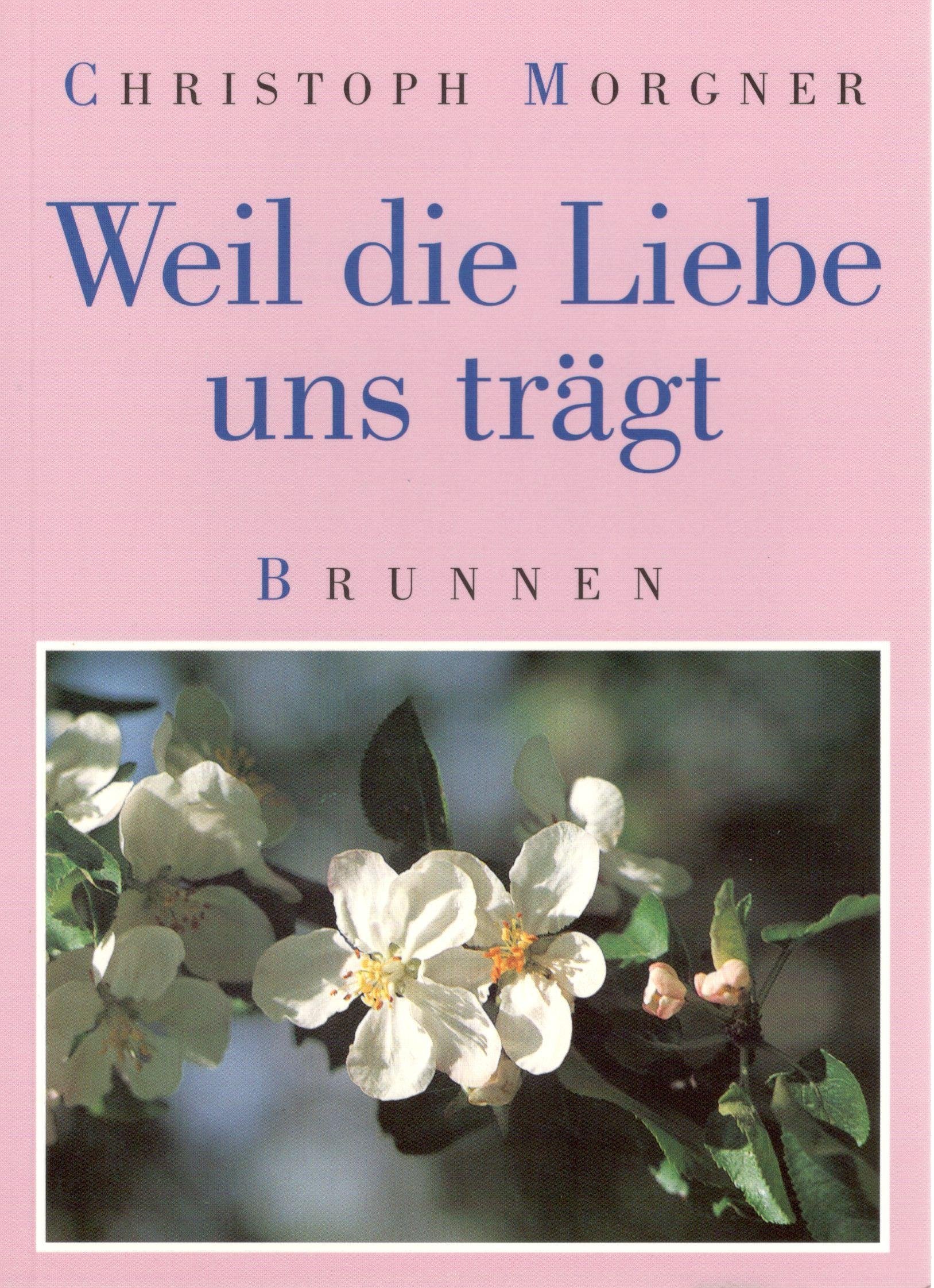 Weil die Liebe uns trägt (ABCteam-Geschenkbände - Brunnen) Religion & Esotericism