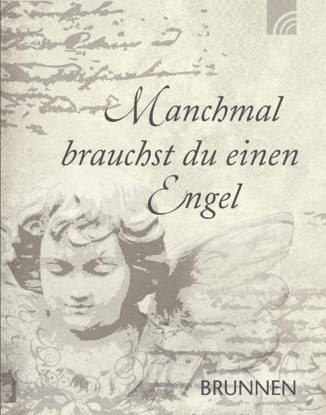 Manchmal brauchst du einen Engel Contemporary literature Books