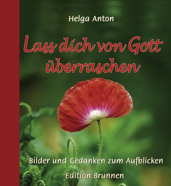 Lass dich von Gott überraschen: Bilder und Gedanken zum Aufblicken Lifestyle