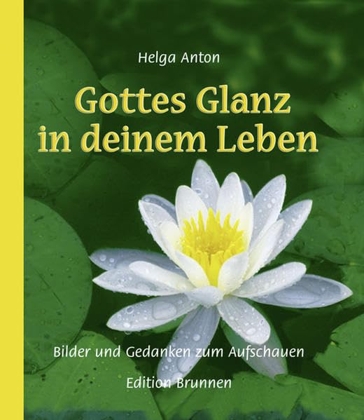 Gottes Glanz in deinem Leben: Bilder und Gedanken zum Aufschauen Religion & Esotericism