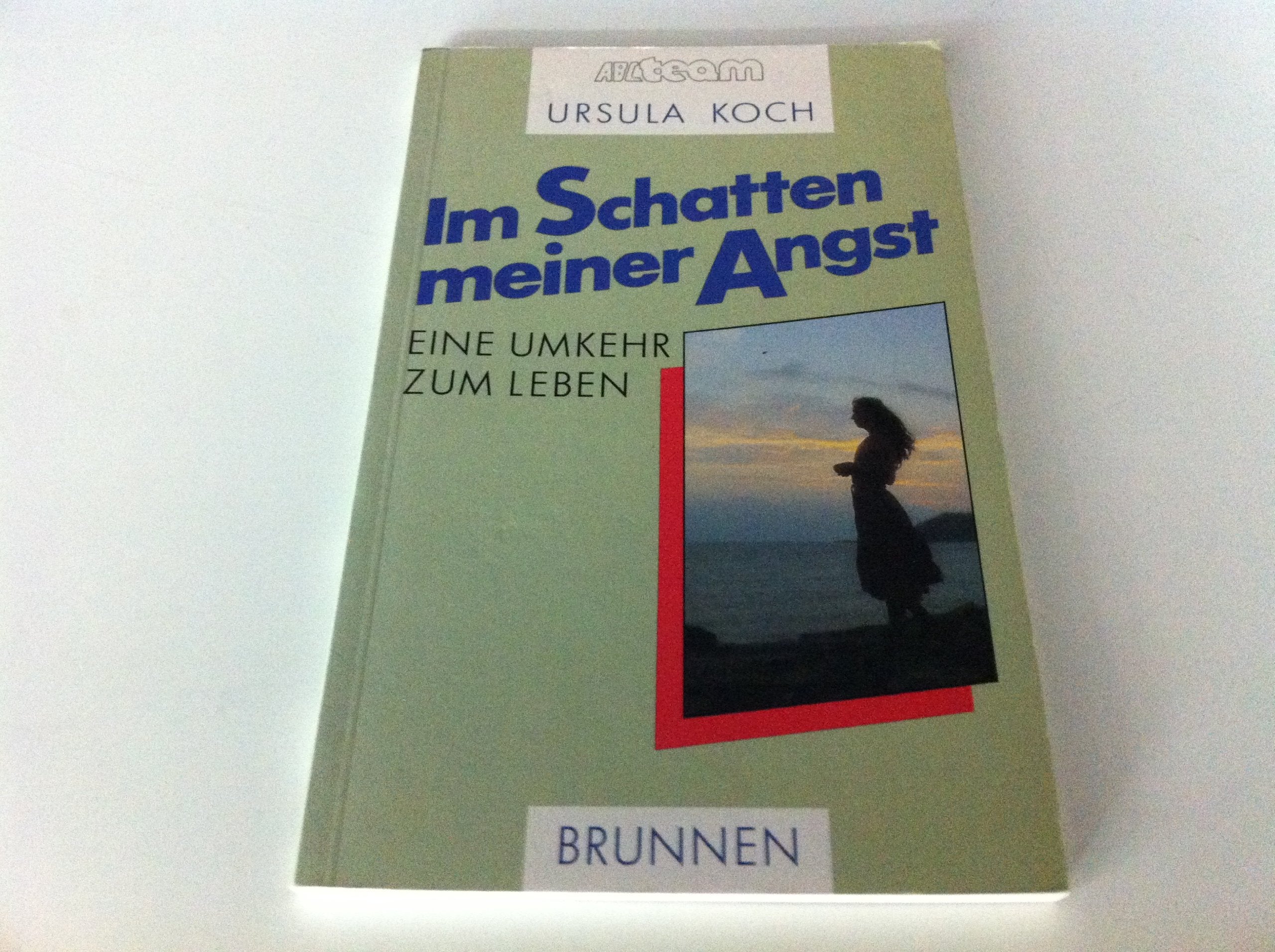 Im Schatten meiner Angst: Eine Umkehr zum Leben (ABCteam-Paperback - Brunnen) Religion & Esotericism