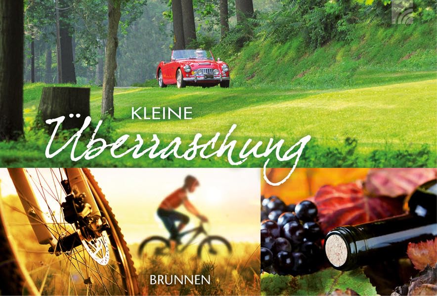Kleine Überraschung Contemporary literature