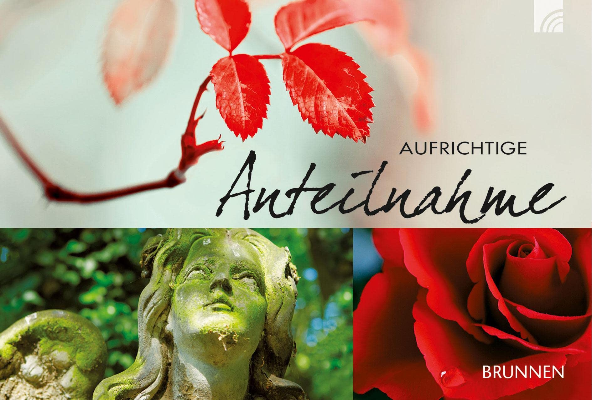 Aufrichtige Anteilnahme Contemporary literature