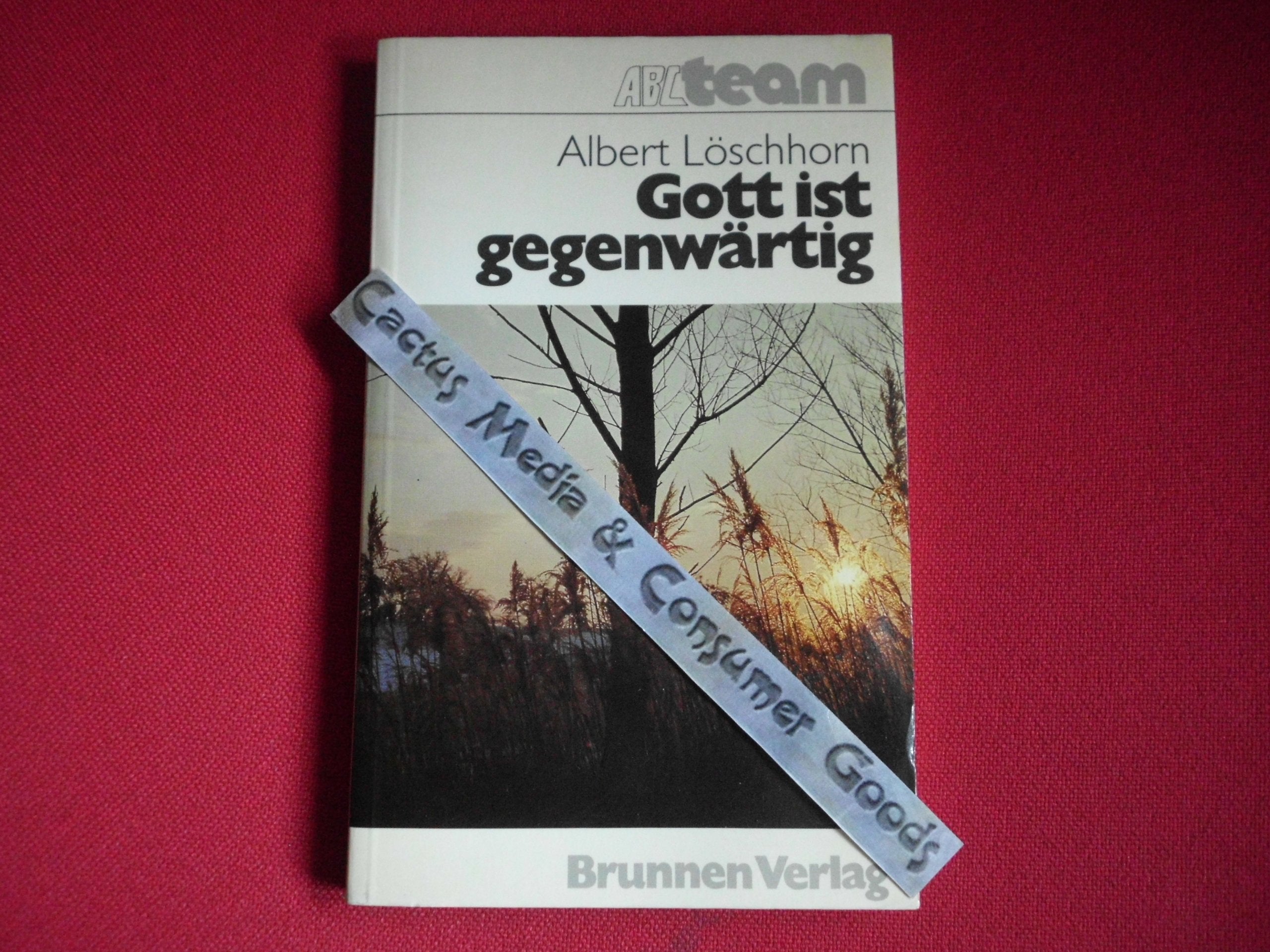 Gott ist gegenwärtig: Eine Anleitung zu geistlichen Übungen Religion & Esotericism