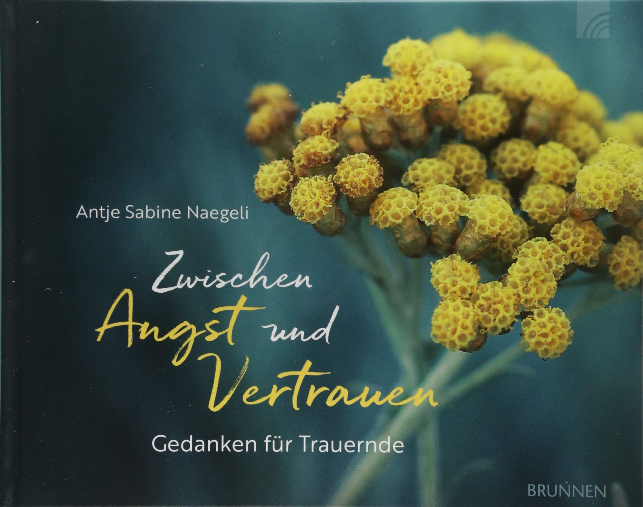 Zwischen Angst und Vertrauen Contemporary literature
