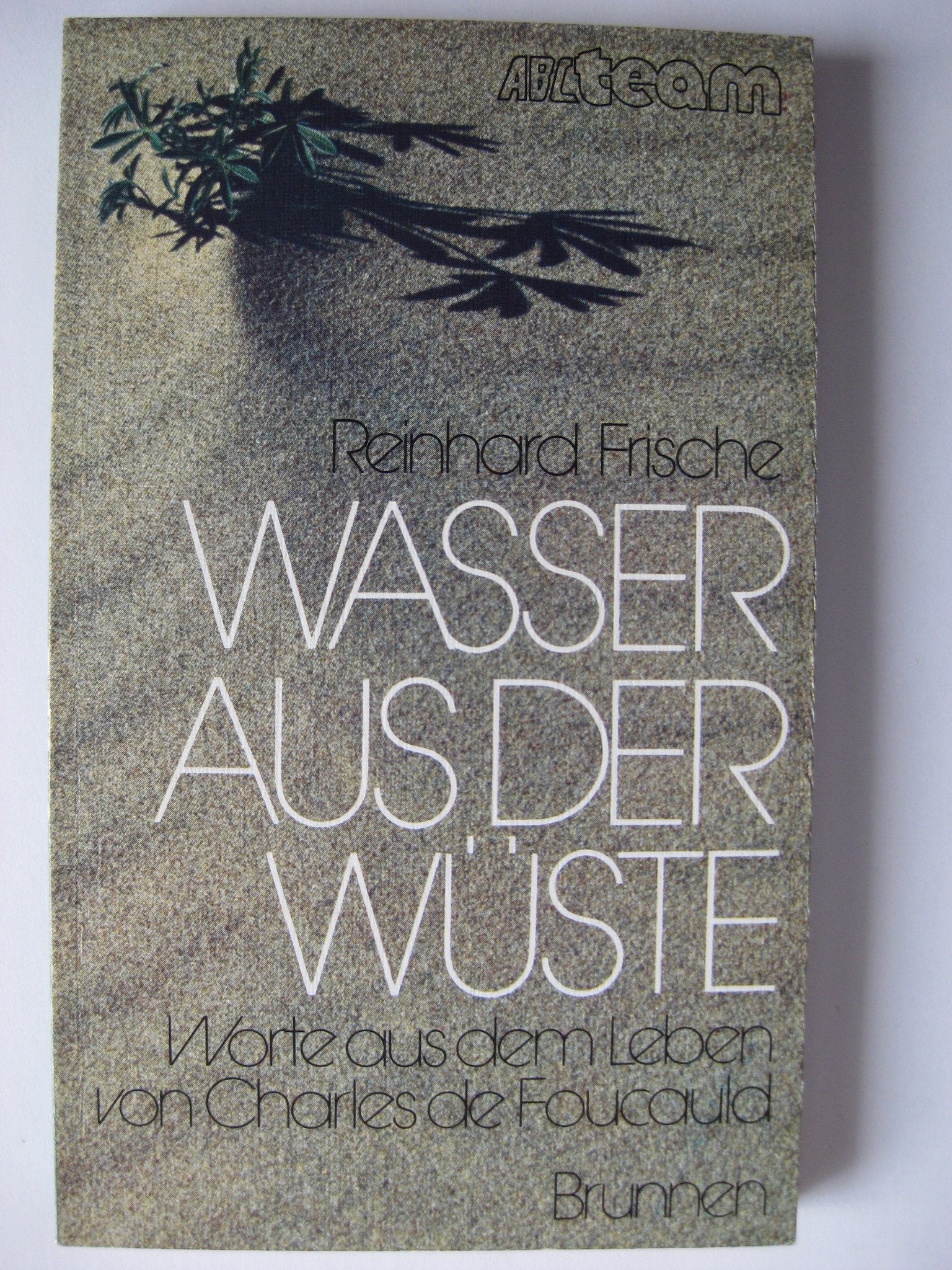 Wasser aus der Wüste. Worte aus dem Leben von Charles de Foucauld Religion & Esotericism