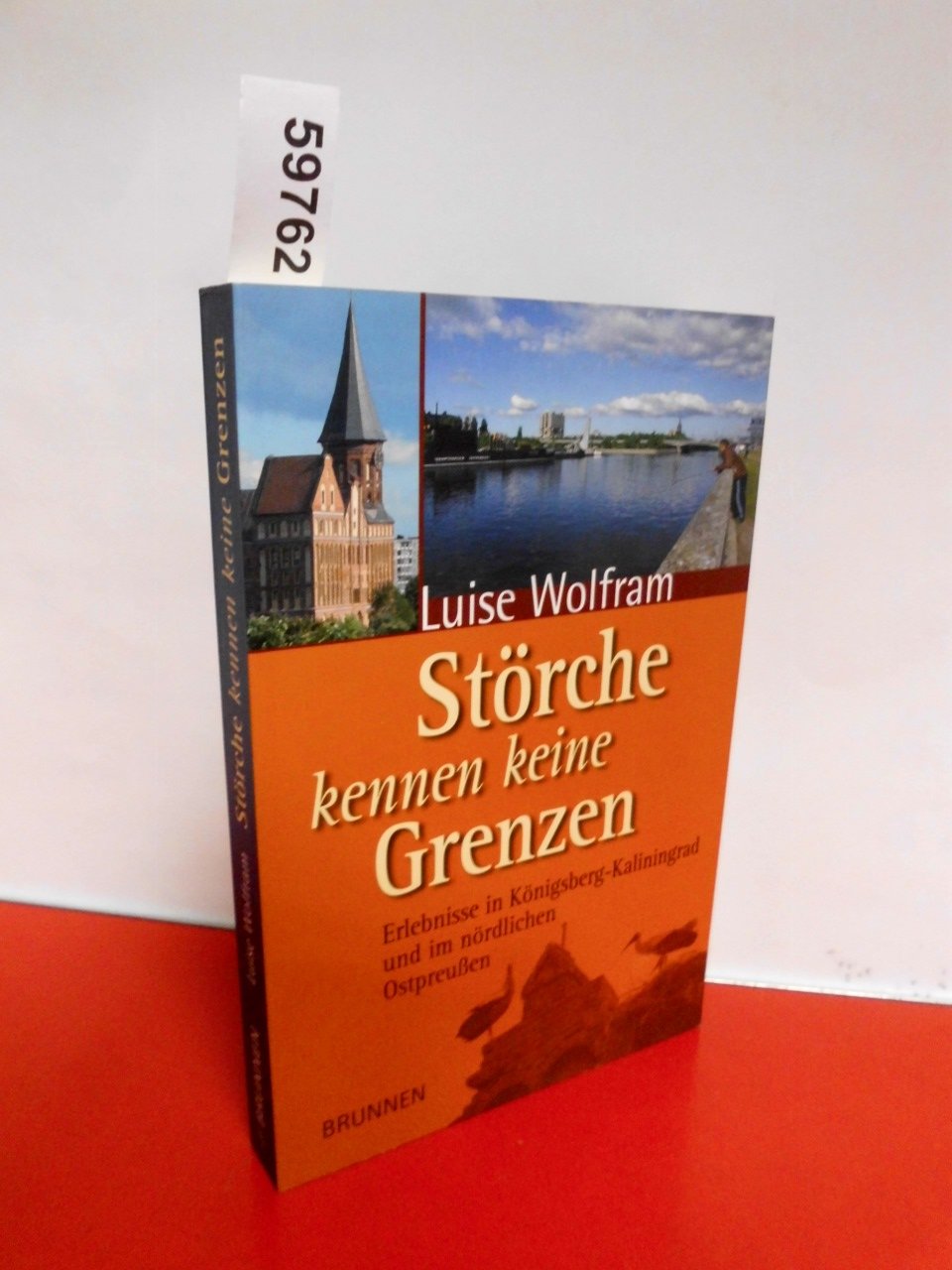 Störche kennen keine Grenzen: Erlebnisse in Königsberg-Kaliningrad und im nördlichen Ostpreussen Essays & Short Stories