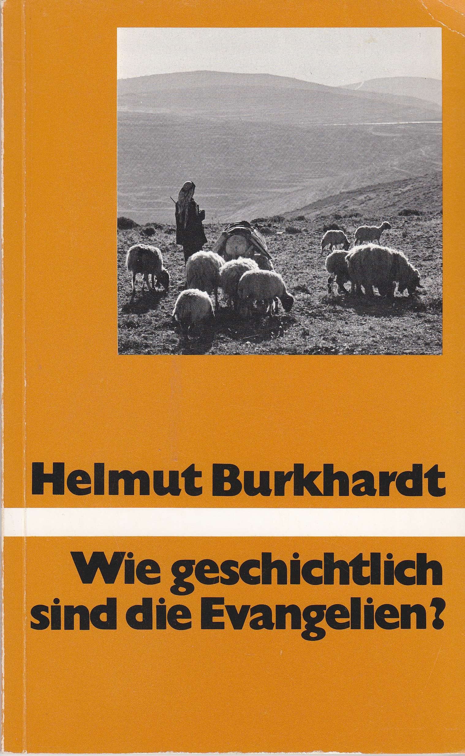 Wie geschichtlich sind die Evangelien? (TVG Orientierung) Books