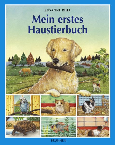 Mein erstes Haustierbuch Non-fiction