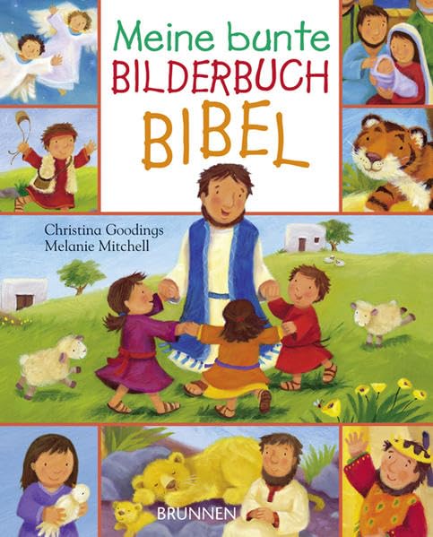 Meine bunte Bilderbuch-Bibel Non-fiction