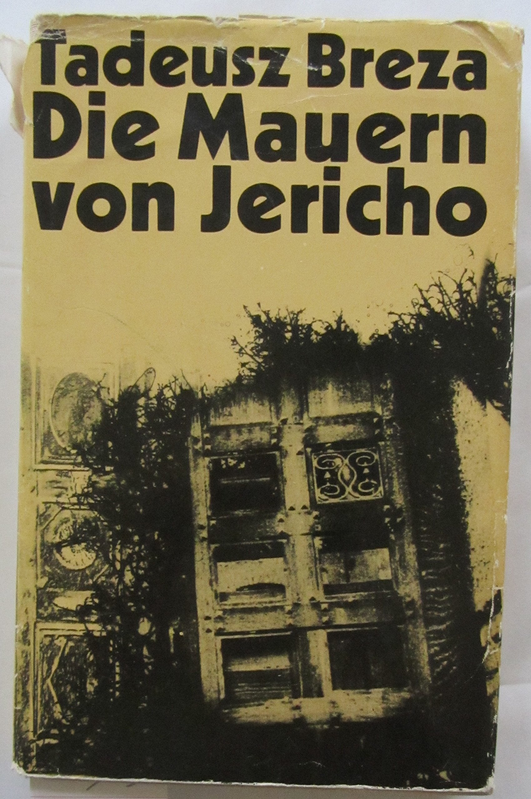 Die Mauern von Jericho (Brunnen-Klappfenster-Bücher) Books