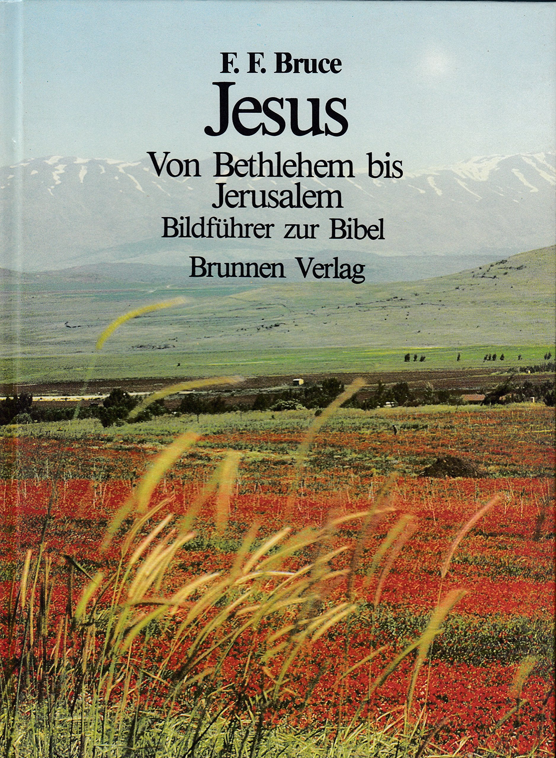 Jesus - Von Bethlehem bis Jerusalem: Bildführer zur Bibel Film, Art & Culture