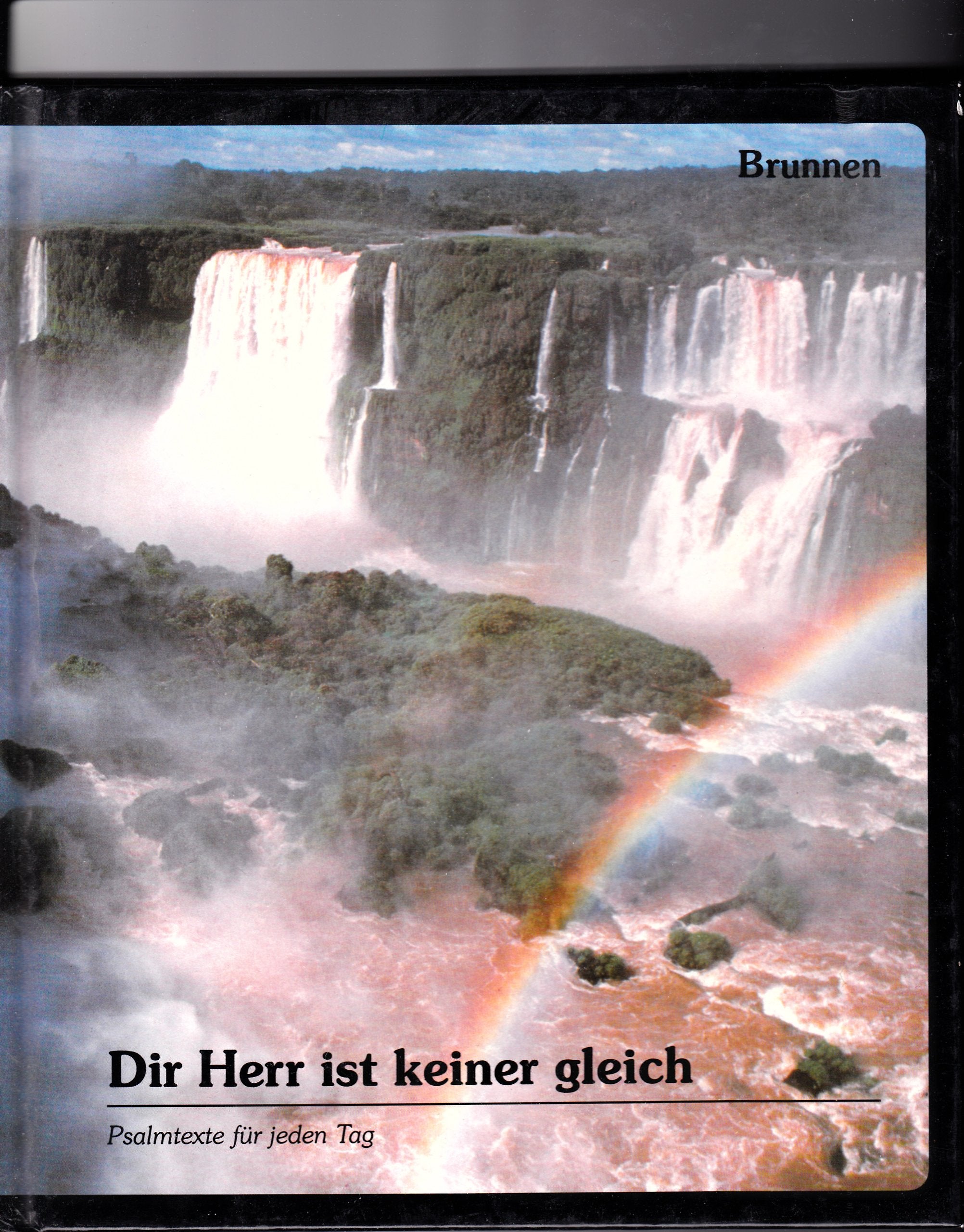 Psalmtexte für jeden Tag / Dir Herr ist keiner gleich Books