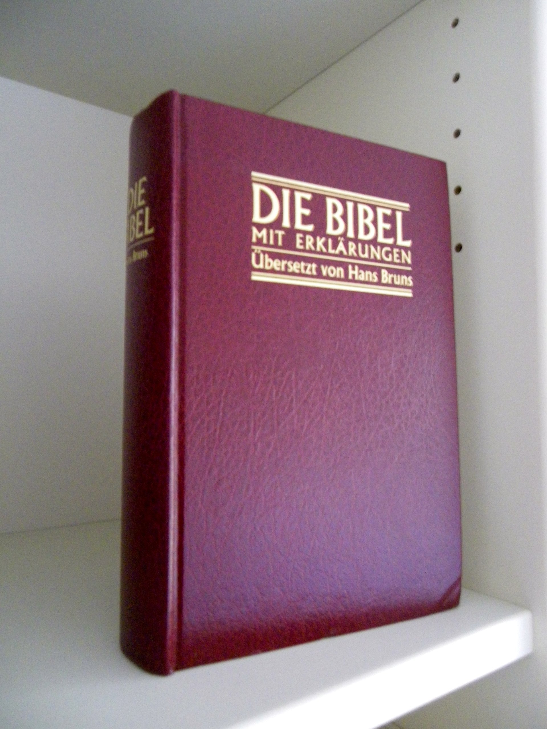 Bibelausgaben, Die Bibel mit Erklärungen Religion & Esotericism