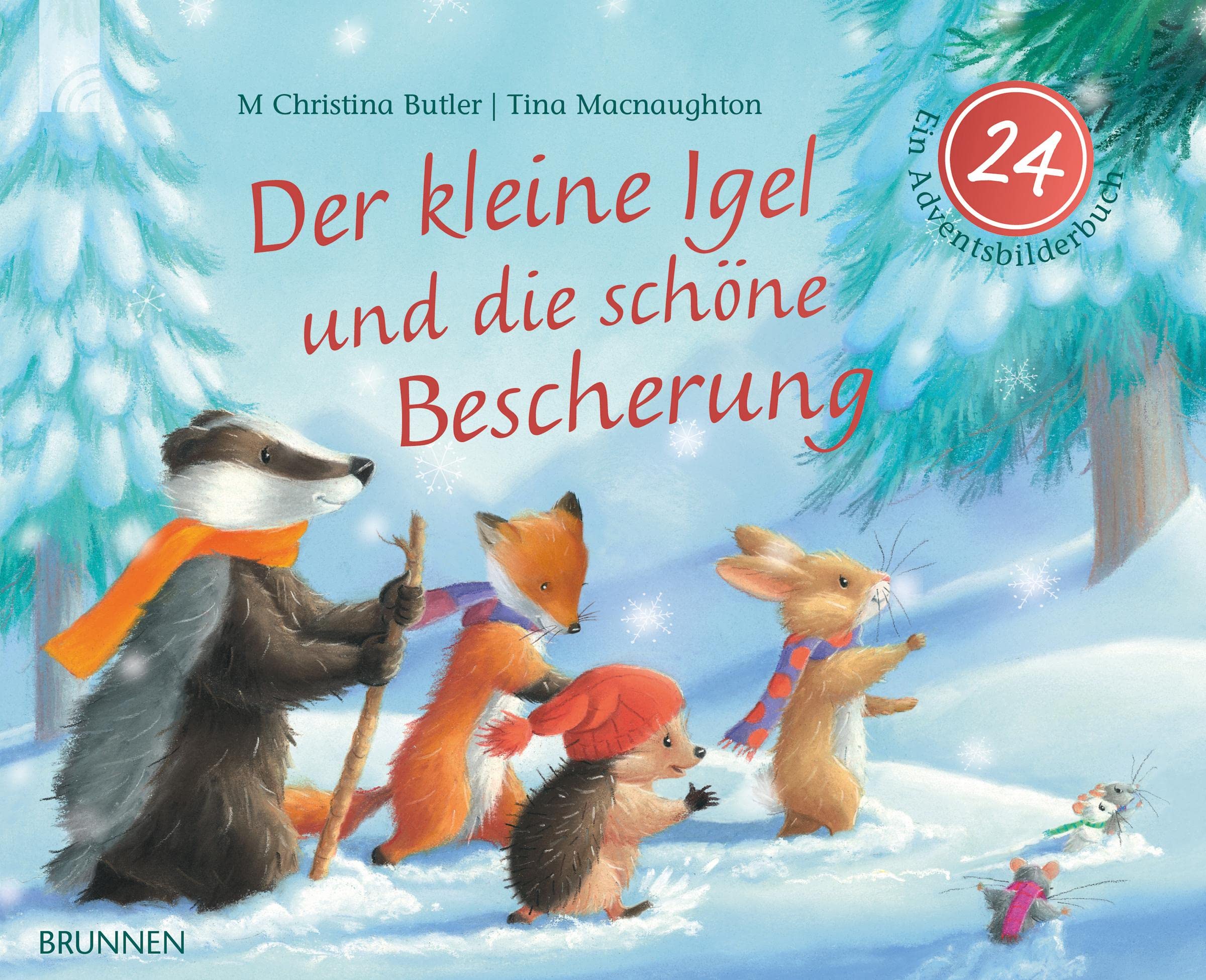 Der kleine Igel und die schöne Bescherung Social Sciences