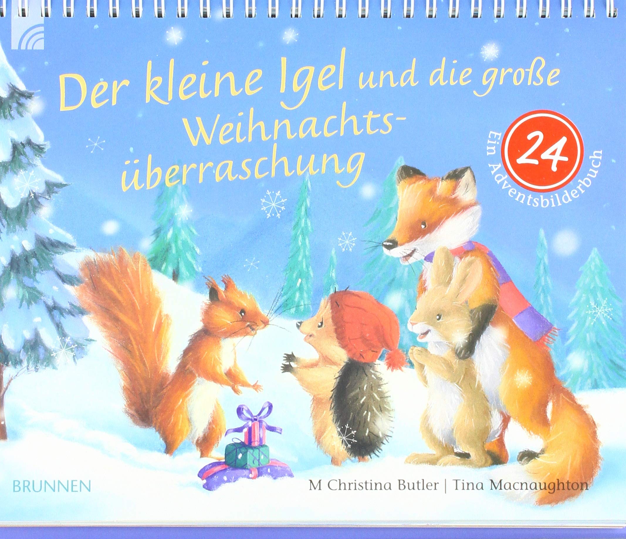 Der kleine Igel und die große Weihnachtsüberraschung: Ein Adventsbilderbuch Social Sciences