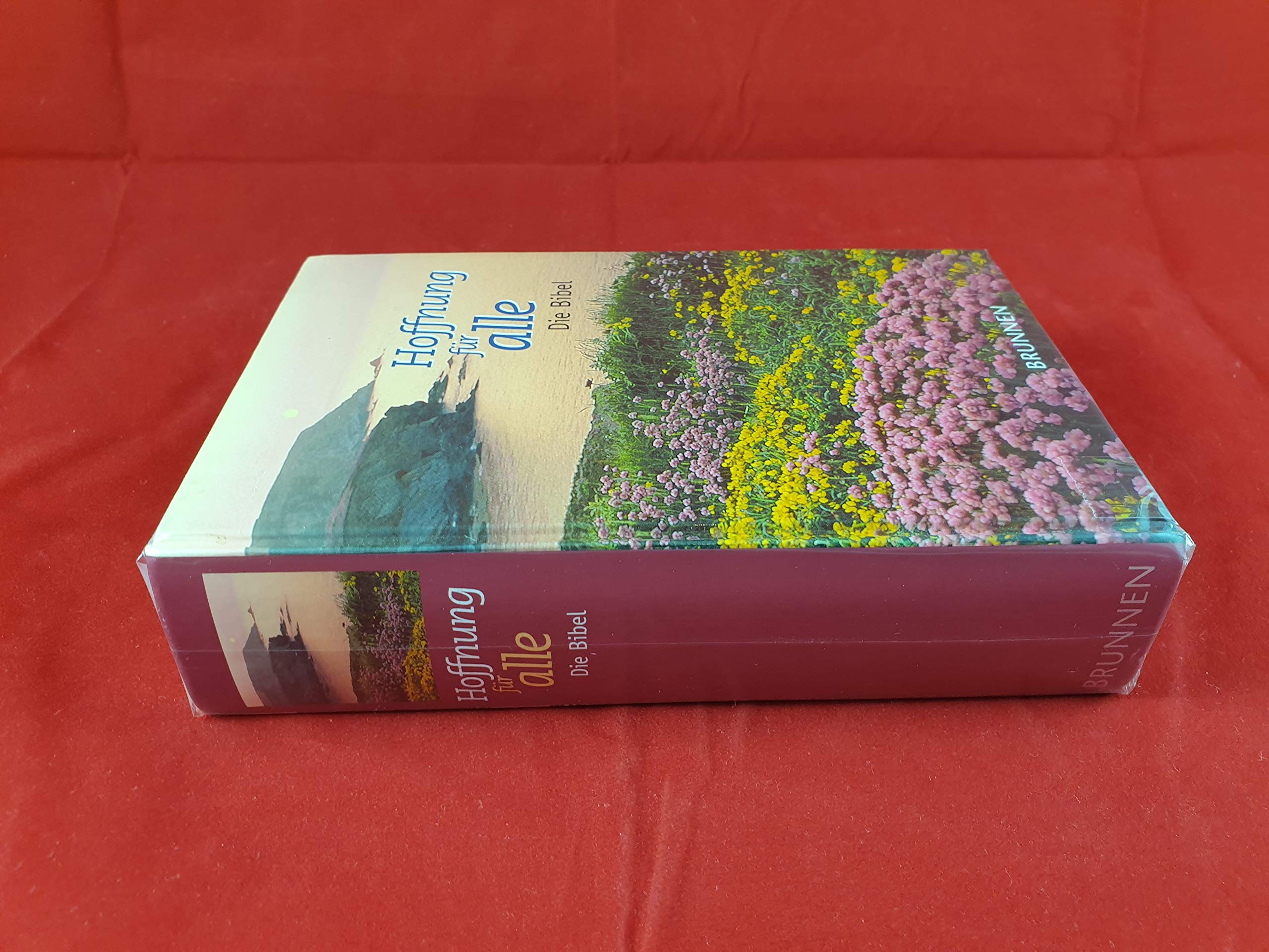 Hoffnung für alle - Die Bibel: Seaside Edition Religion & Esotericism