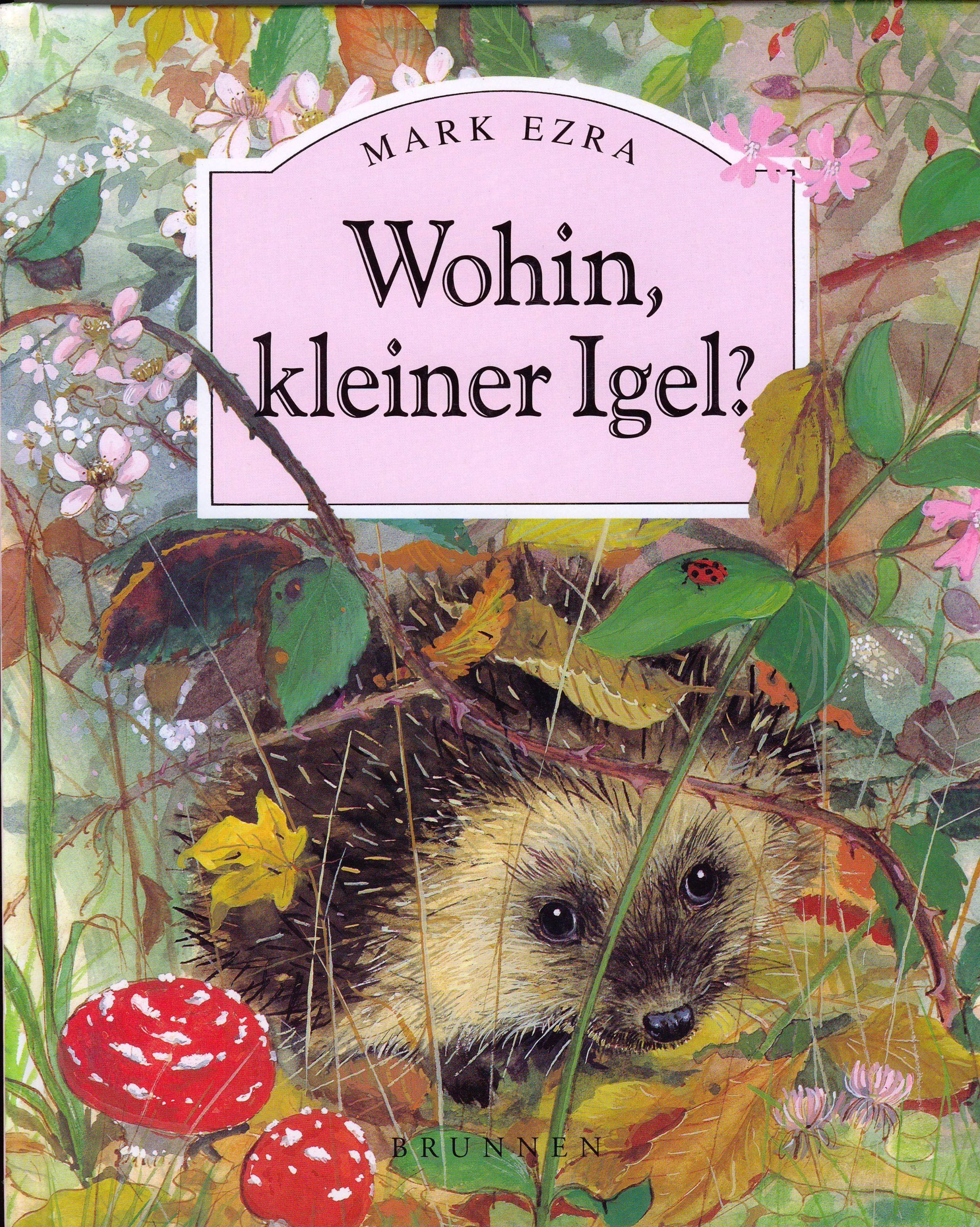 Product Image: Wohin, kleiner Igel?