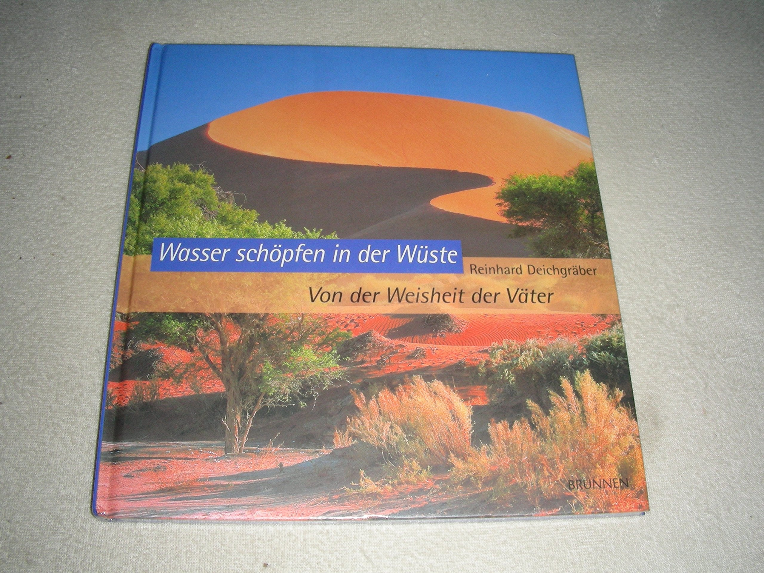 Wasser schöpfen in der Wüste: Von der Weisheit der Väter Religion & Esotericism