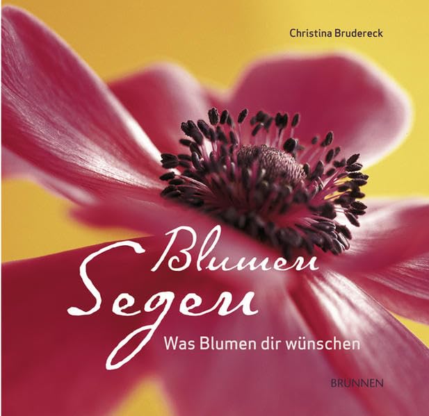 Blumensegen: Was Blumen dir wünschen Lifestyle