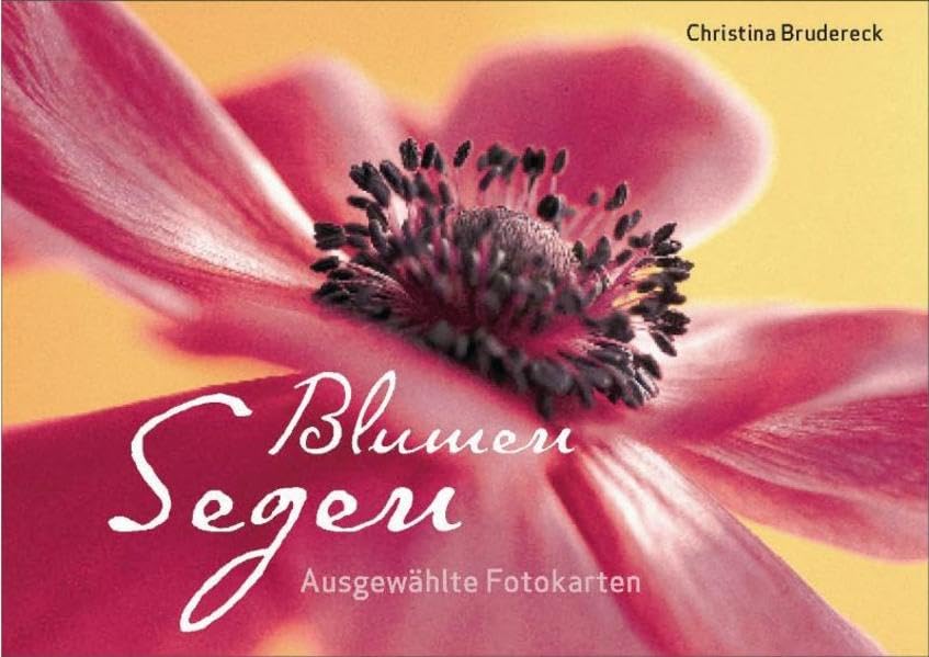 BlumenSegen: 20 ausgewählte Fotokarten Living & Furnishing