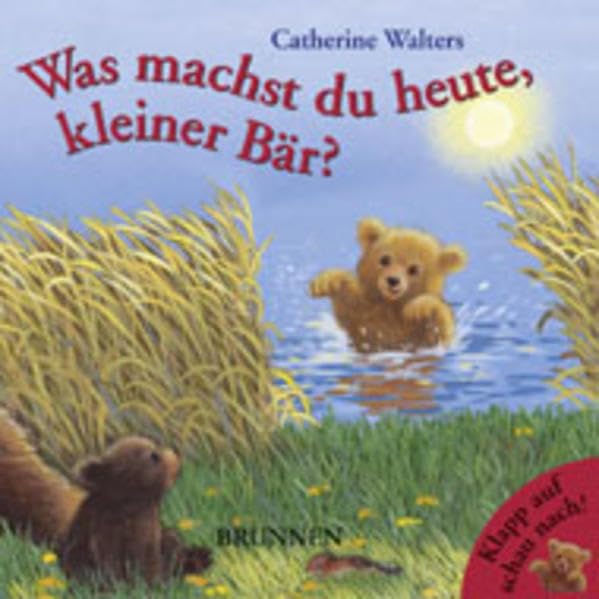 Was machst du heute, kleiner Bär? Books
