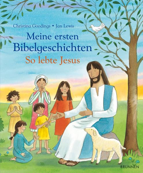 Meine ersten Bibelgeschichten: So lebte Jesus Non-fiction