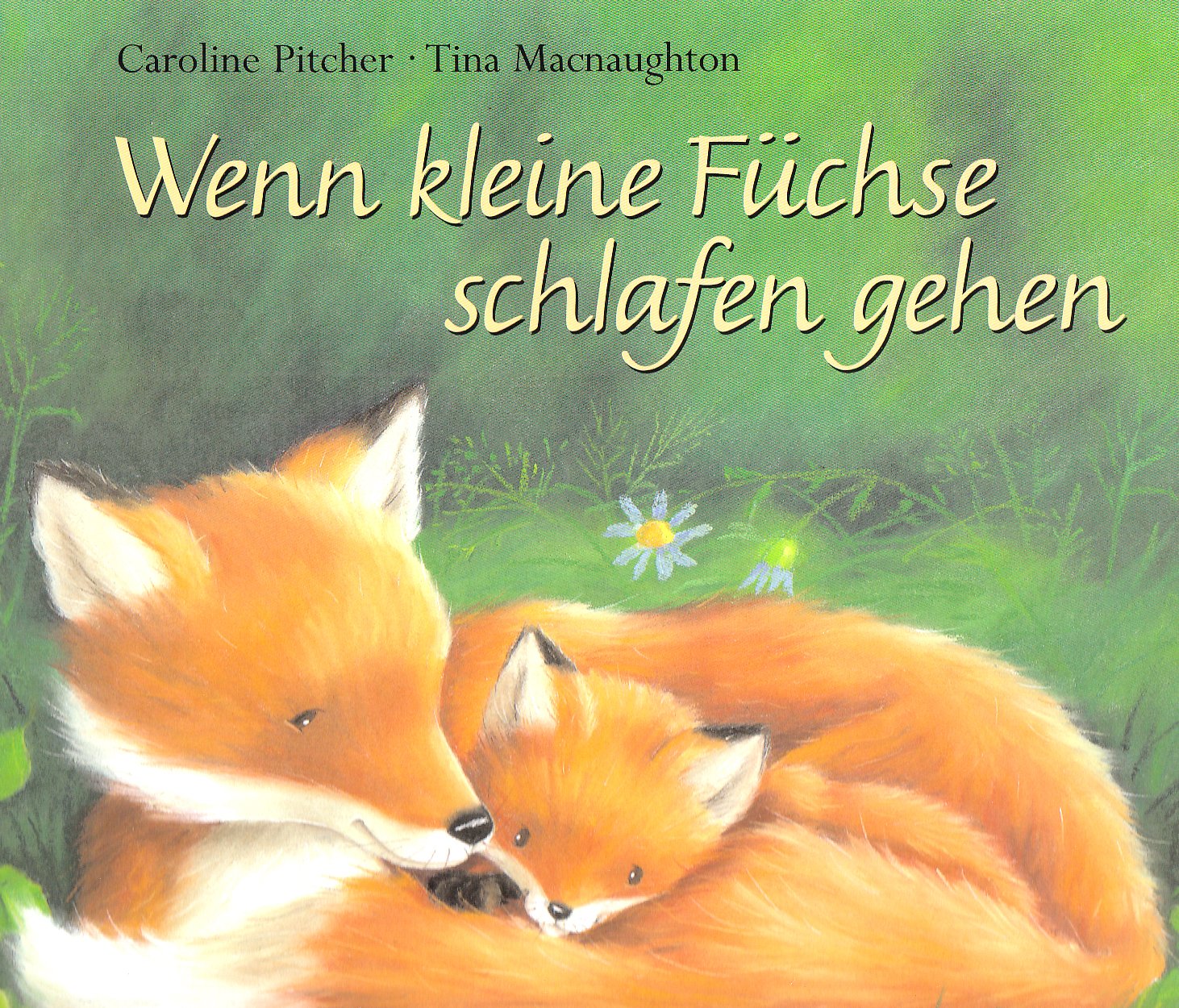 Wenn kleine Füchse schlafen gehen Children's books