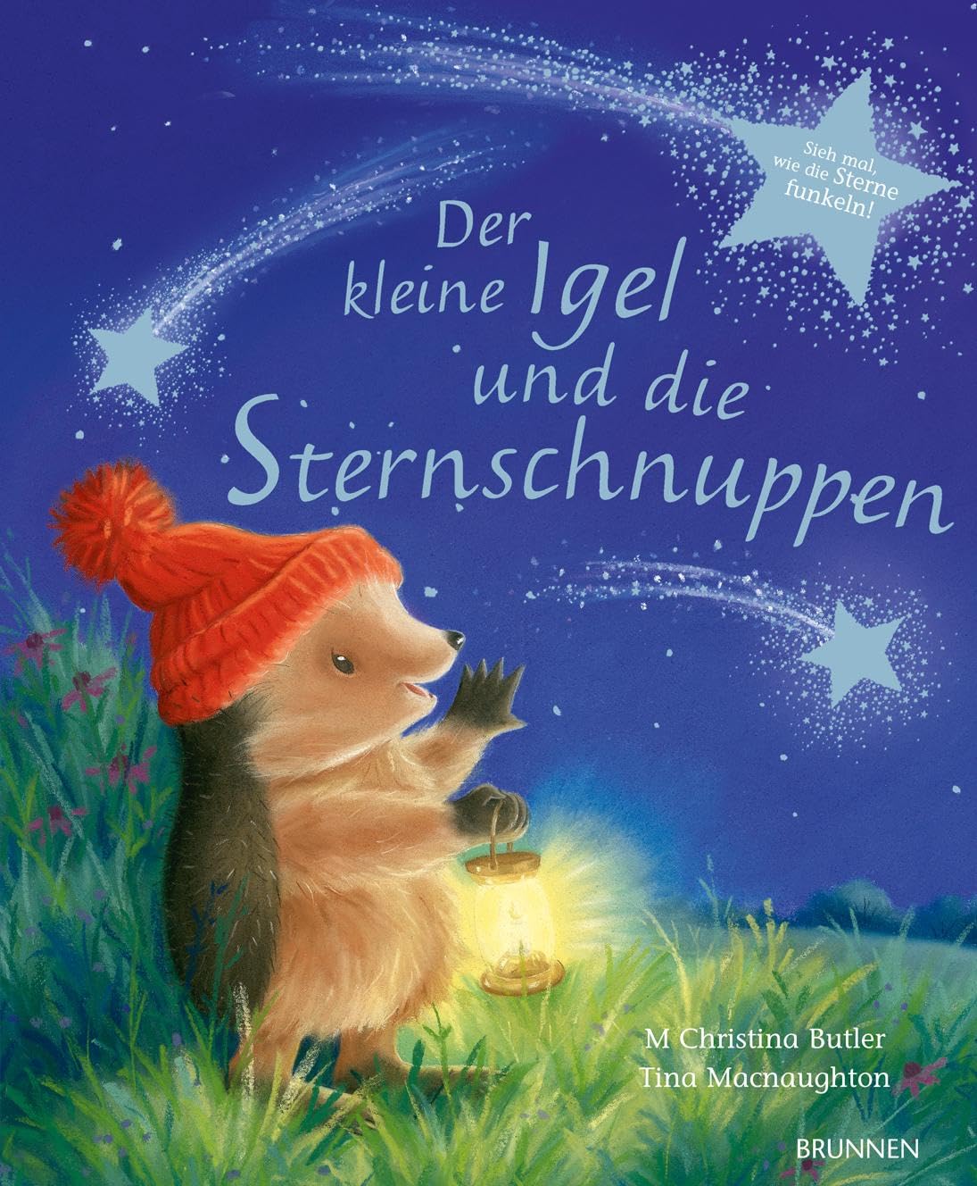 Der kleine Igel und die Sternschnuppen Children's books