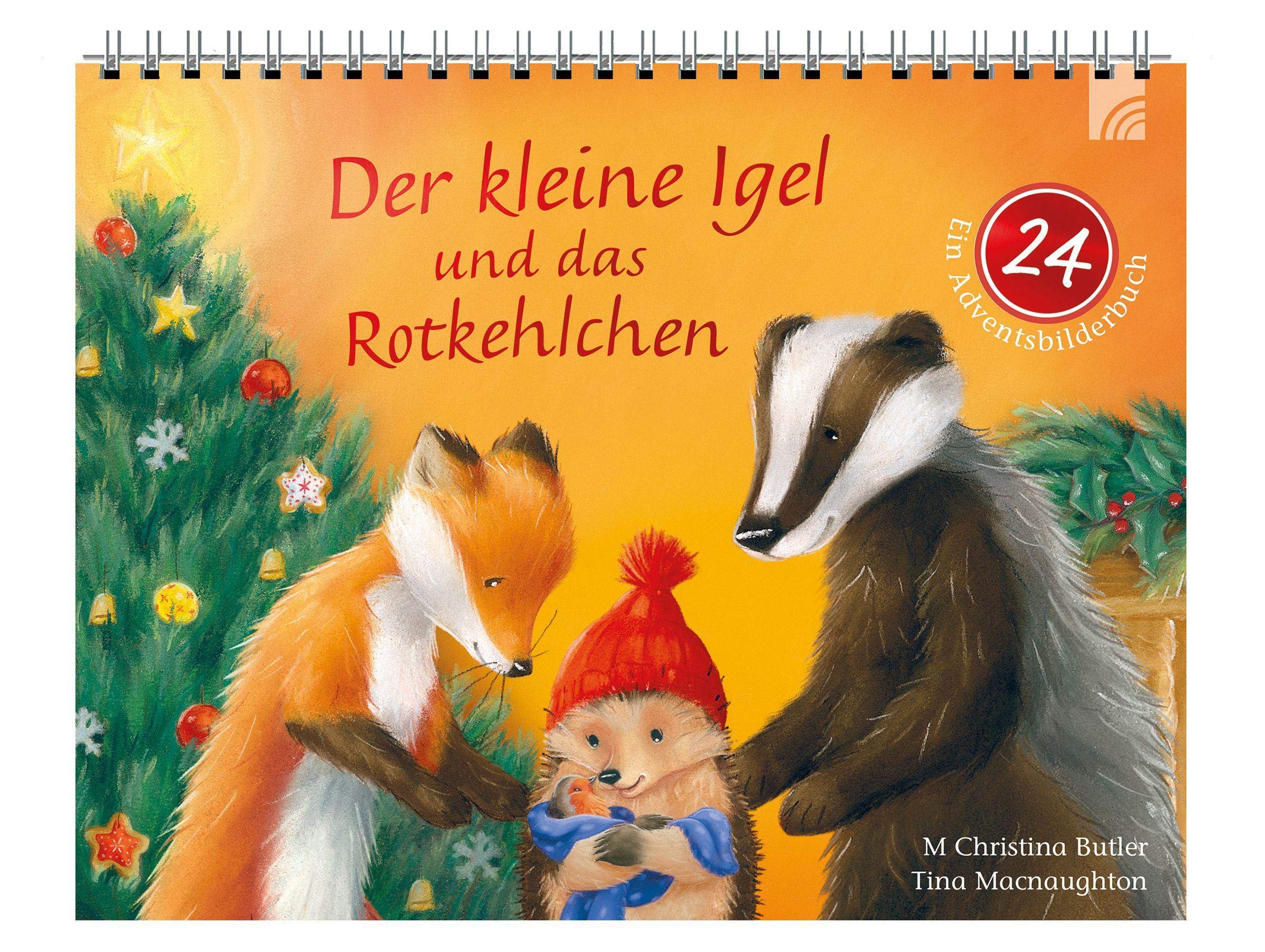 Der kleine Igel und das Rotkehlchen: Ein Adventsbilderbuch Social Sciences