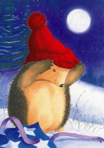 Der kleine Igel und die rote Mütze (Faltkarte) book