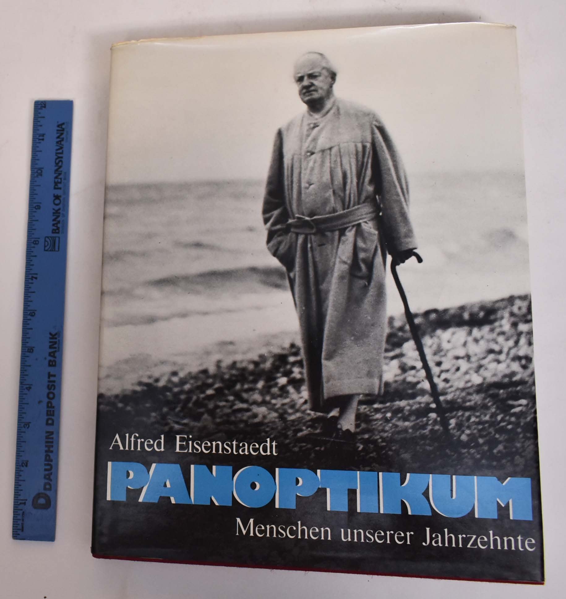 Panoptikum. Menschen unserer Jahrzehnte Social Sciences