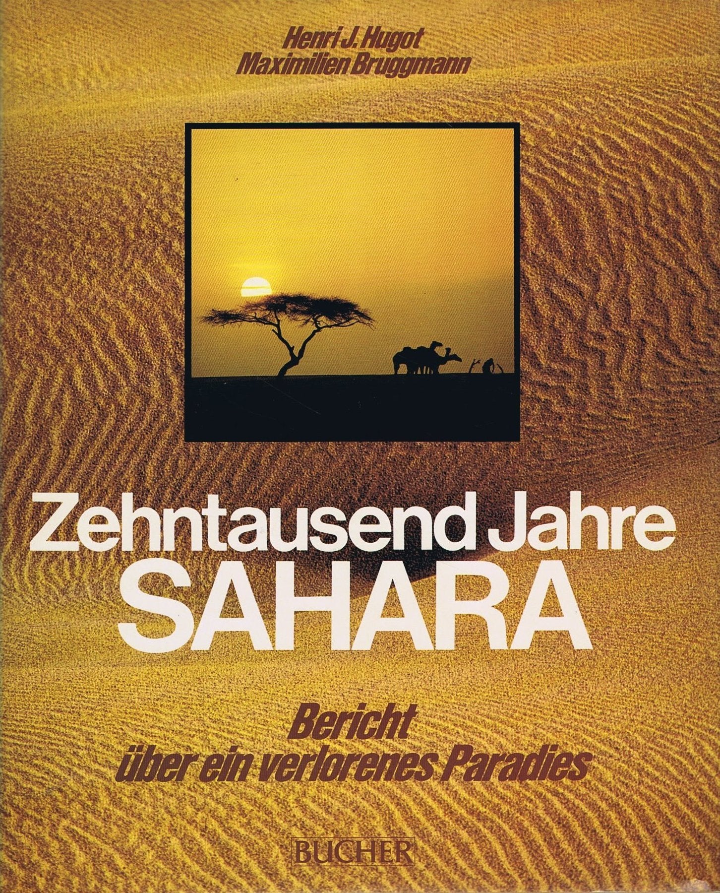Zehntausend Jahre Sahara. Contemporary literature