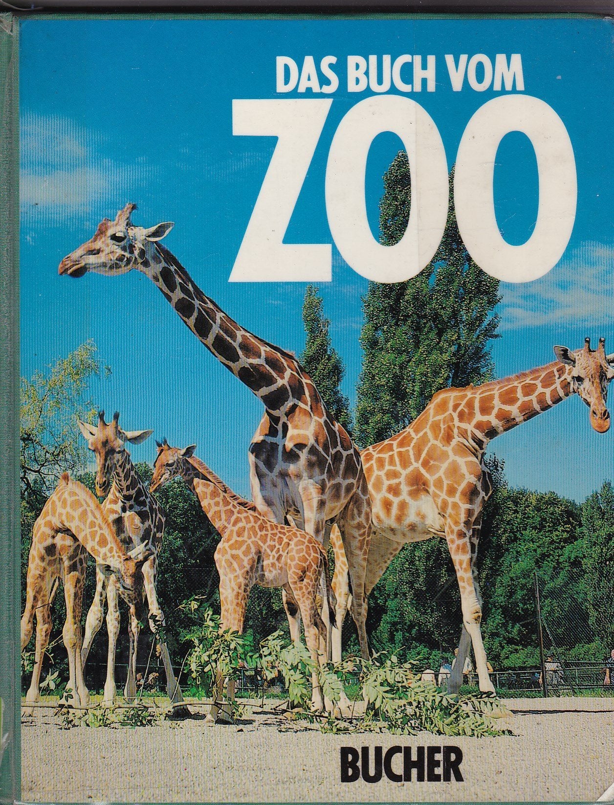 Product Image: Das Buch vom Zoo