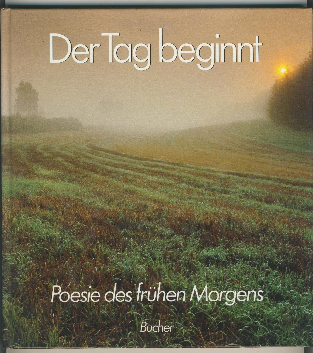 Der Tag beginnt. Poesie des frühen Morgens Books