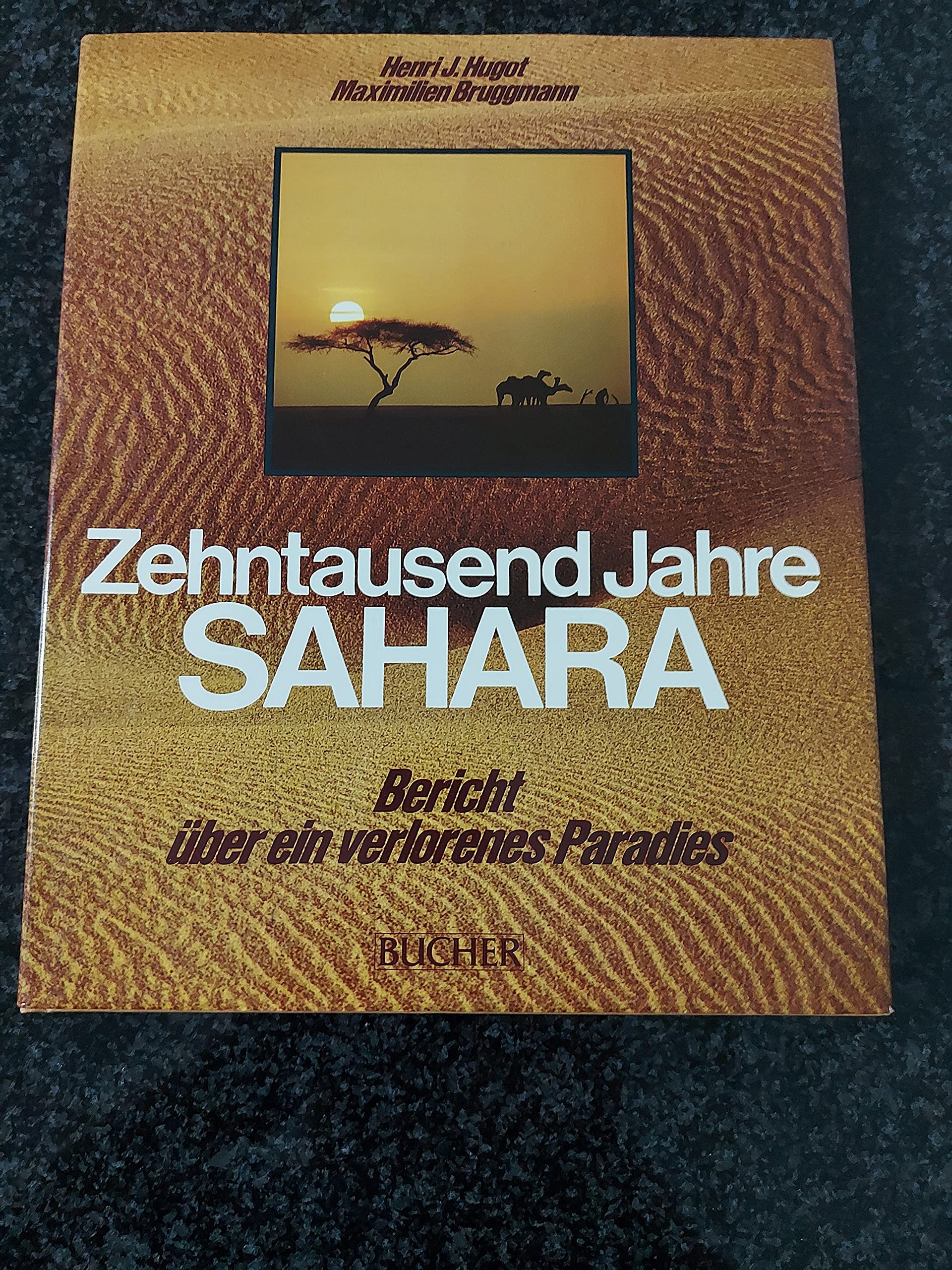 Zehntausend Jahre Sahara: Bericht über ein verlorenes Paradies Travel