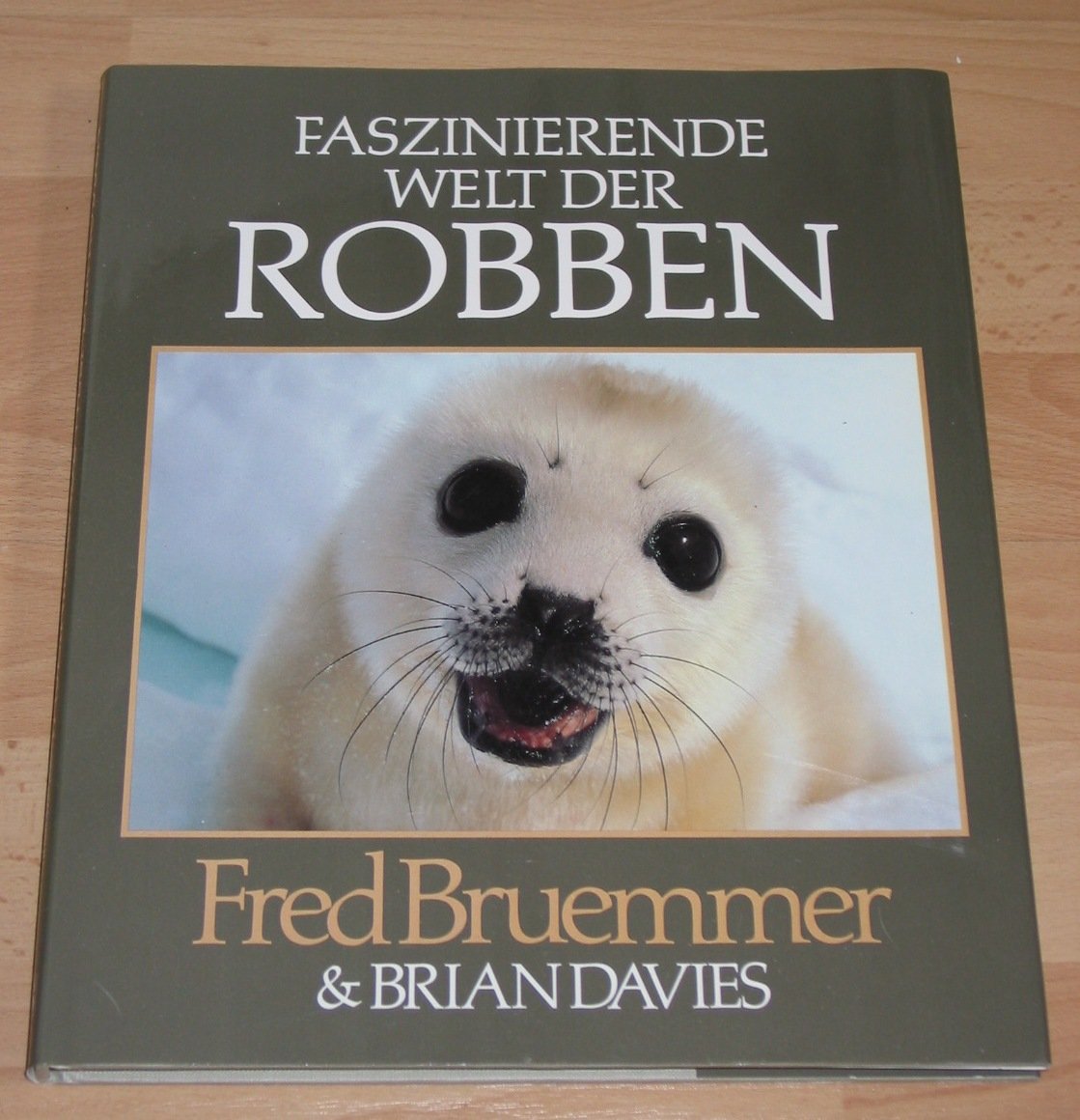 Faszinierende Welt der Robben Film, Art & Culture