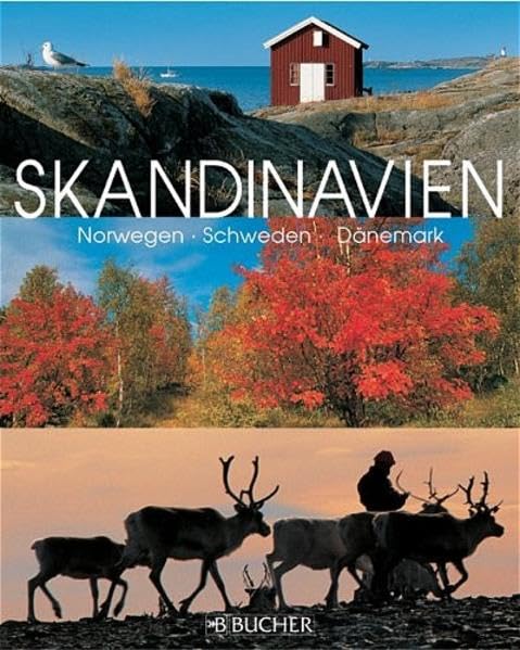Skandinavien: Norwegen, Schweden, Dänemark (Sonderausgaben) Leisure, Home & Garden