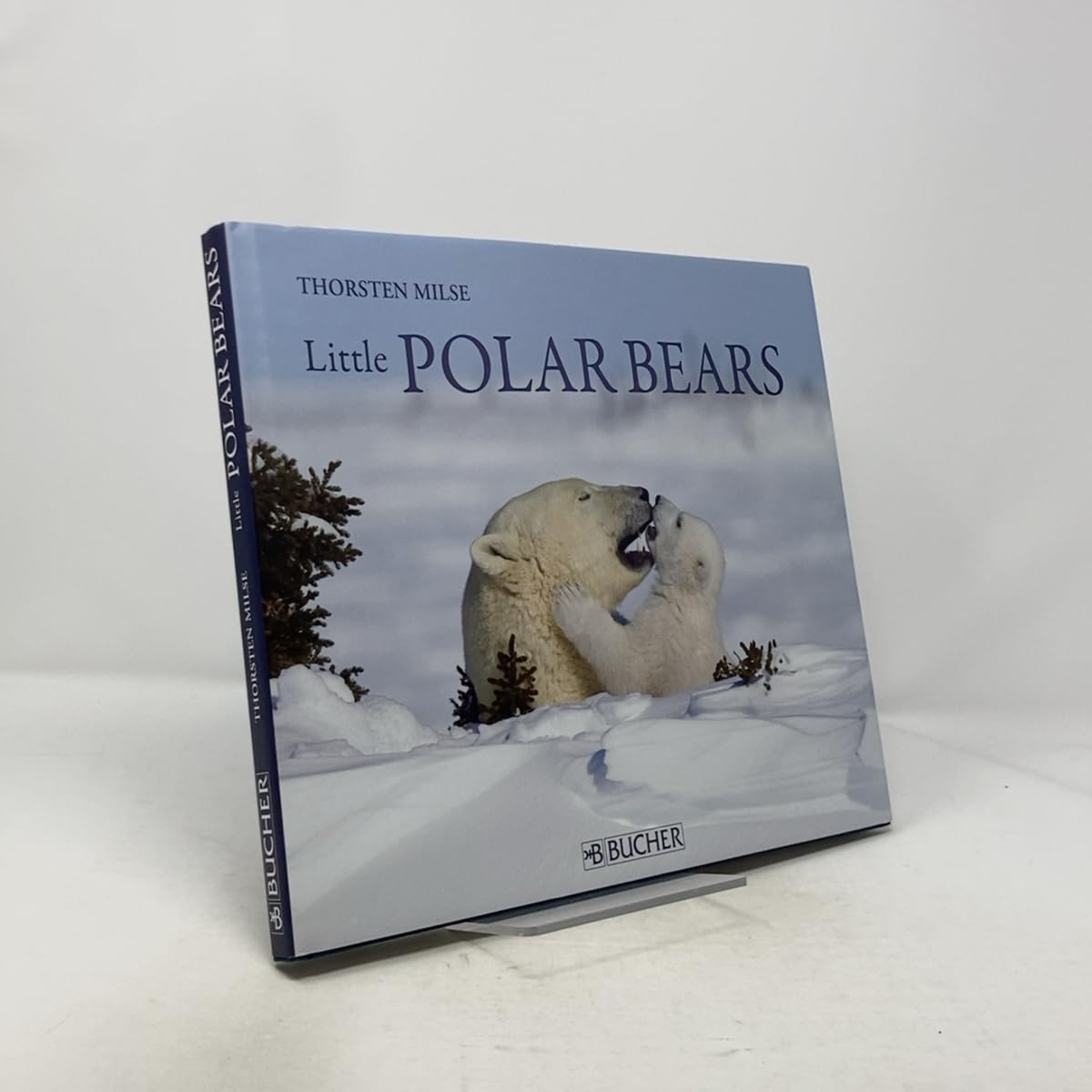 Little Polar Bears (Englische Ausgaben) Travel