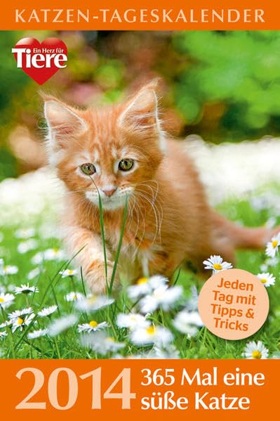 Katzen-Tageskalender 2014: 365 Mal eine süße Katze Pets