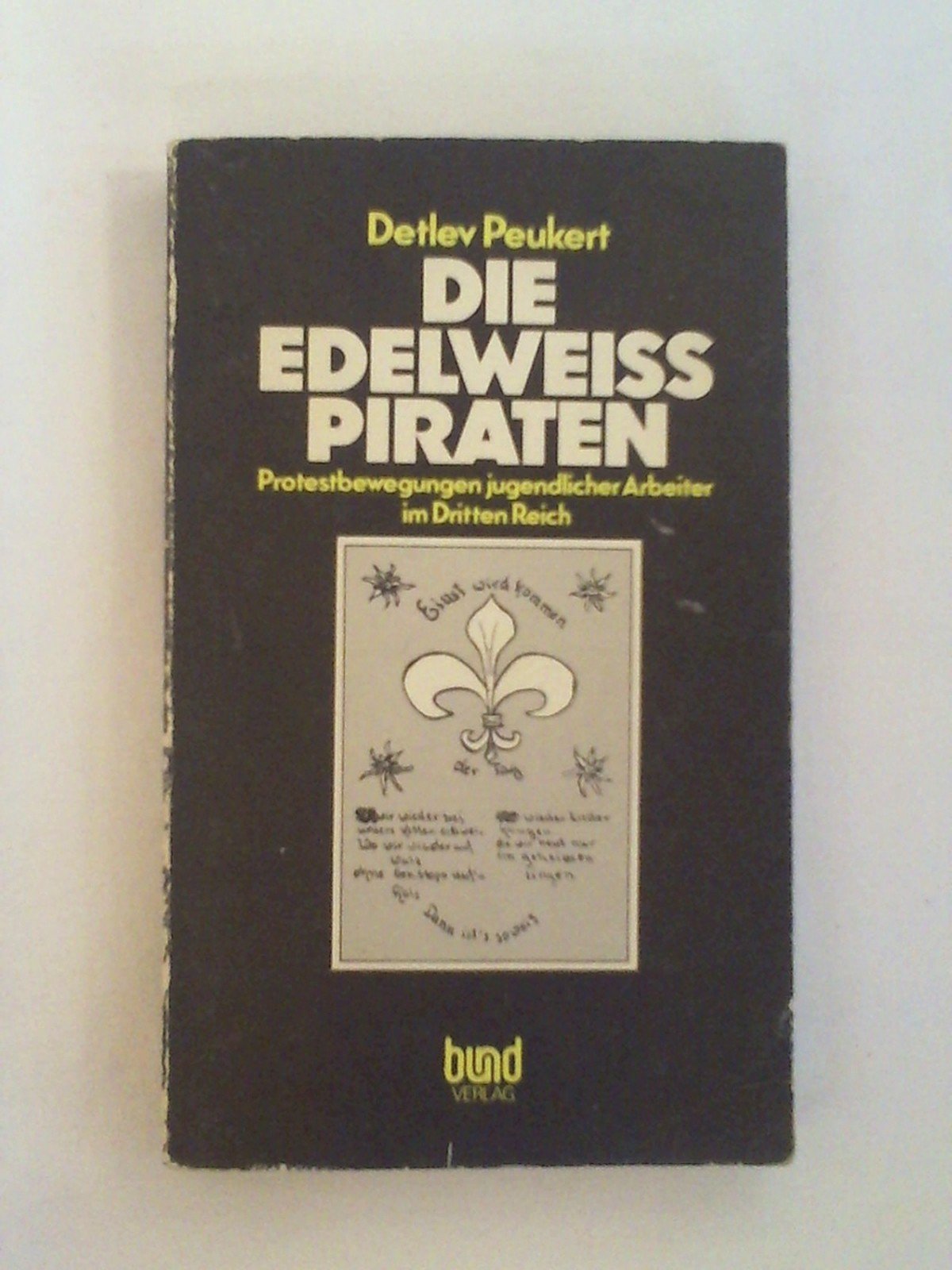 Die Edelweißpiraten . Protestbewegung jugendlicher Arbeiter im Dritten Reich Politics & History