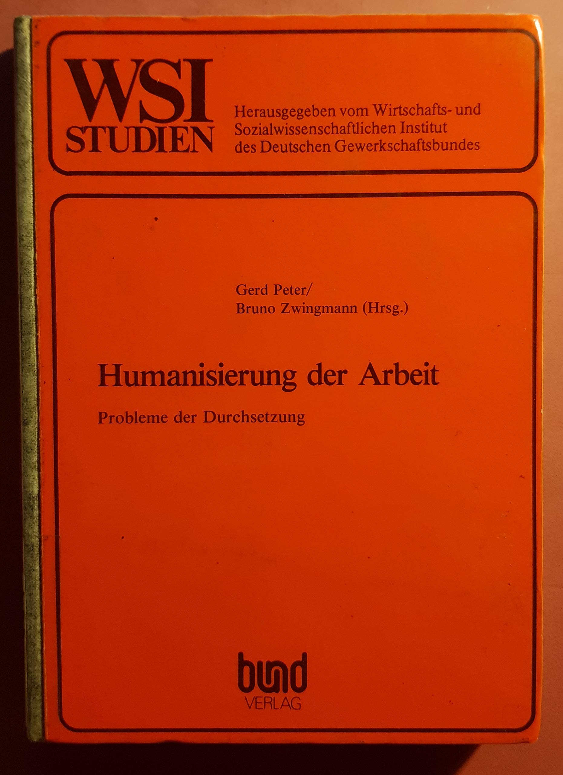 Humanisierung der Arbeit: Probleme der Durchsetzung (WSI-Studie zur Wirtschafts- und Sozialforschung) (German Edition) book