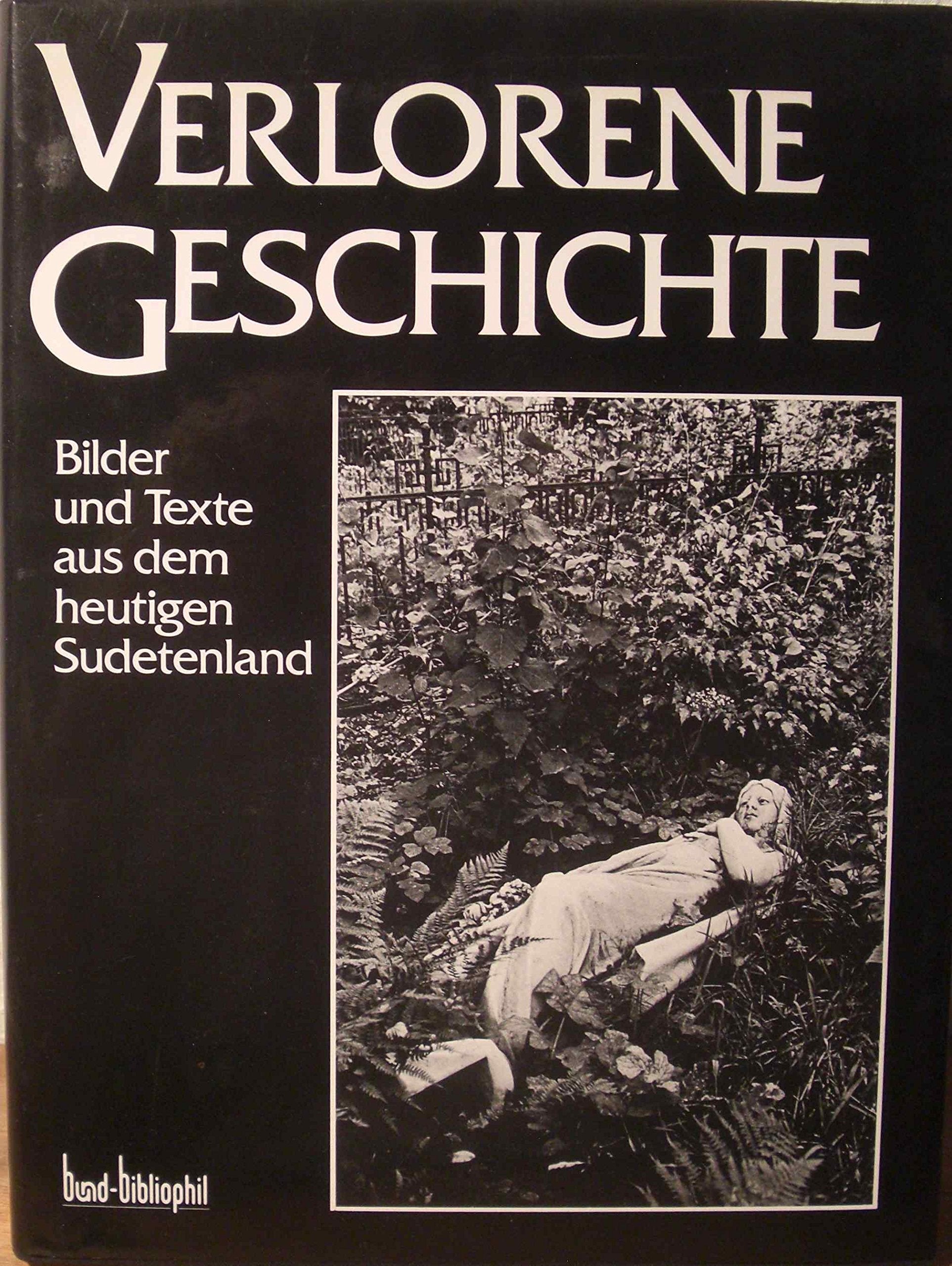 Verlorene Geschichte. Bilder und Texte aus dem heutigen Sudentenland Politics & History