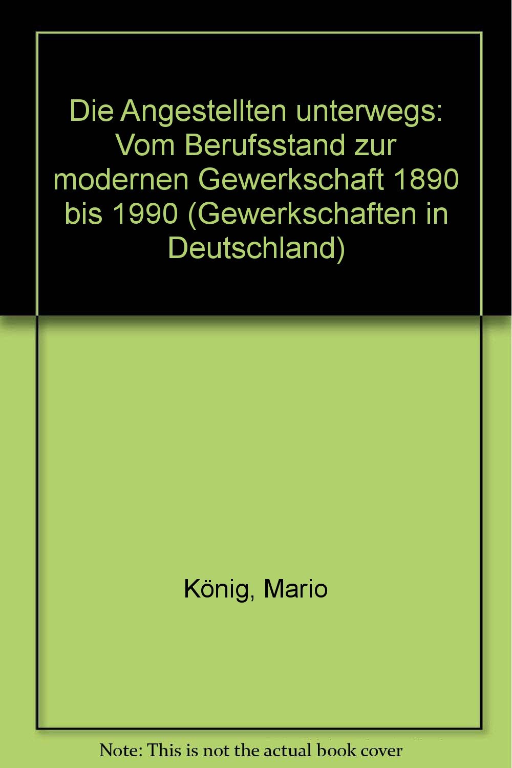Die Angestellten unterwegs. Vom Berufsstand zur modernen Gewerkschaft 1890 bis 1990 Books
