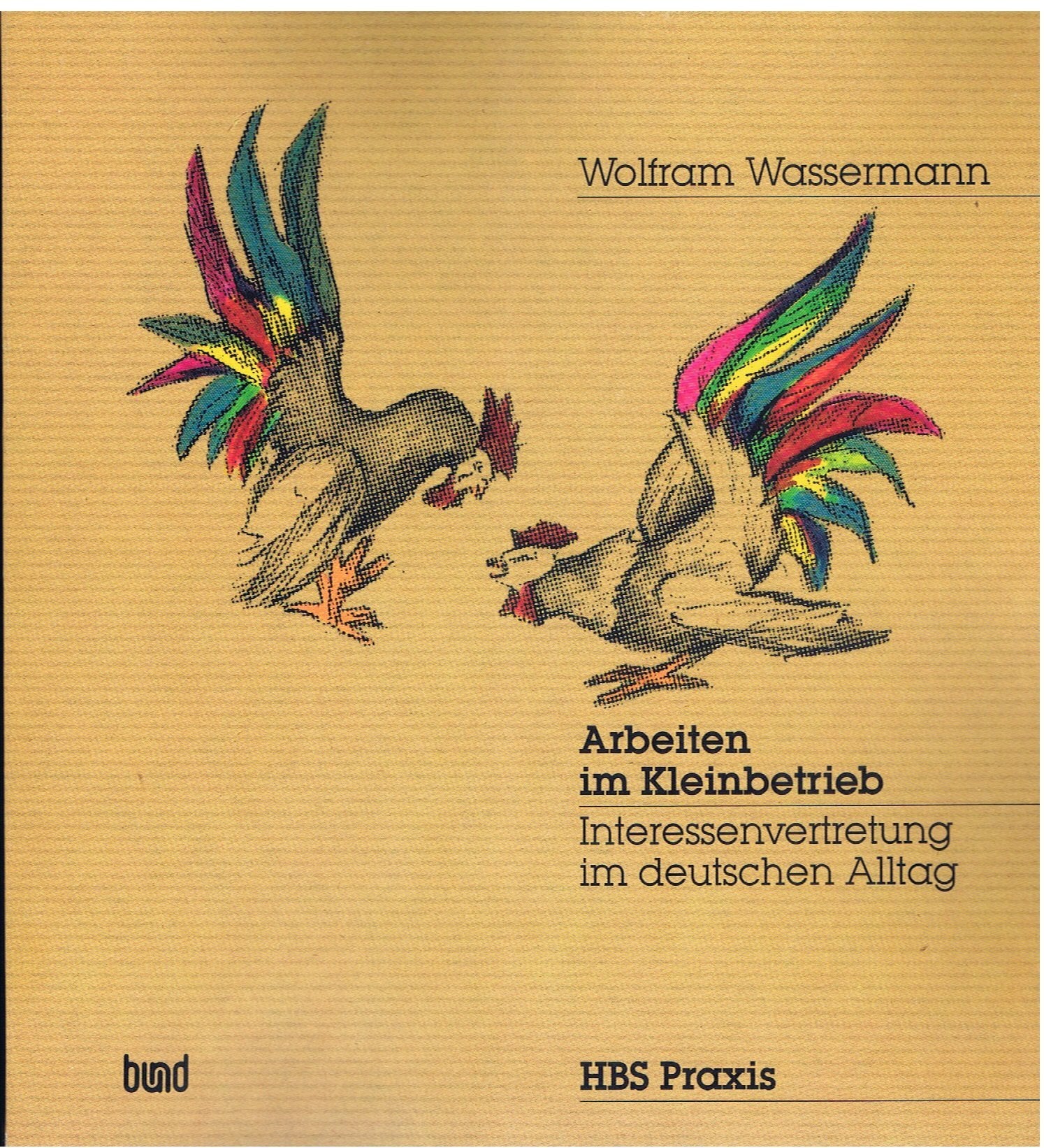 Arbeiten im Kleinbetrieb. Interessenvertretung im deutschen Alltag Books