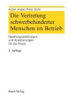 Die Vertretung der Schwerbehinderten im Betrieb. Handlungsanleitungen und Orientierungen für die Praxis Law