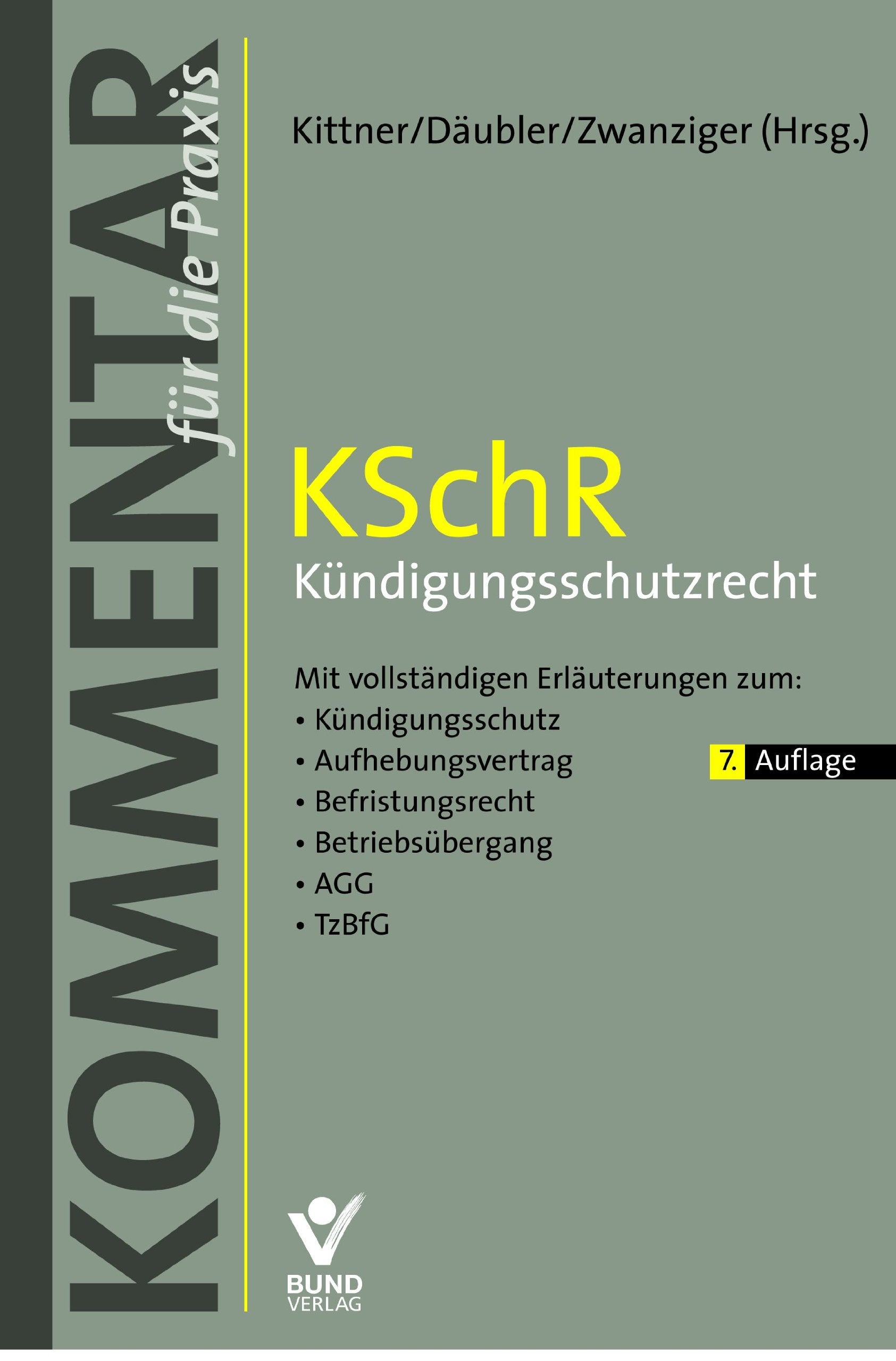 Kündigungsschutzrecht: Kündigungen und andere Formen der Beendigung des Arbeitsverhältnisses Law
