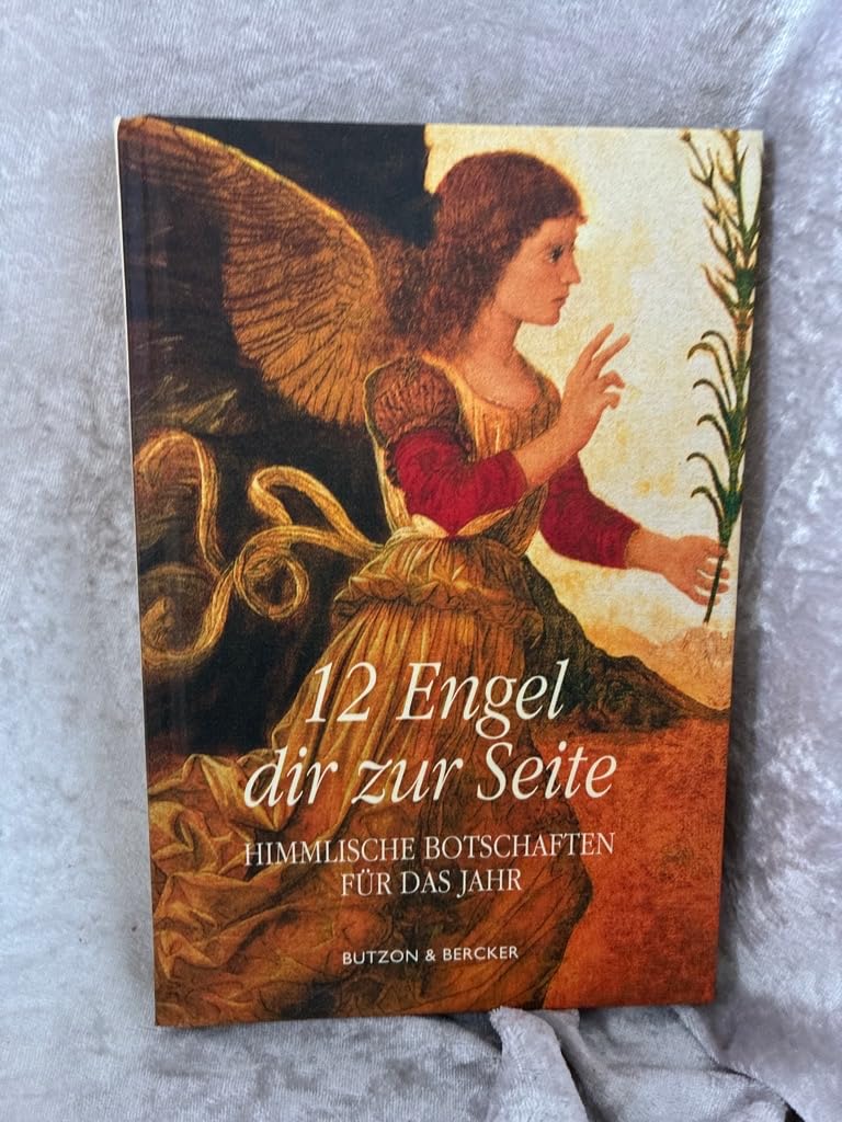 12 Engel dir zur Seite: Himmlische Botschaften für das Jahr Religion & Esotericism