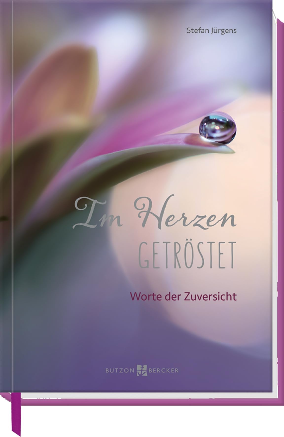 Product Image: Im Herzen getröstet